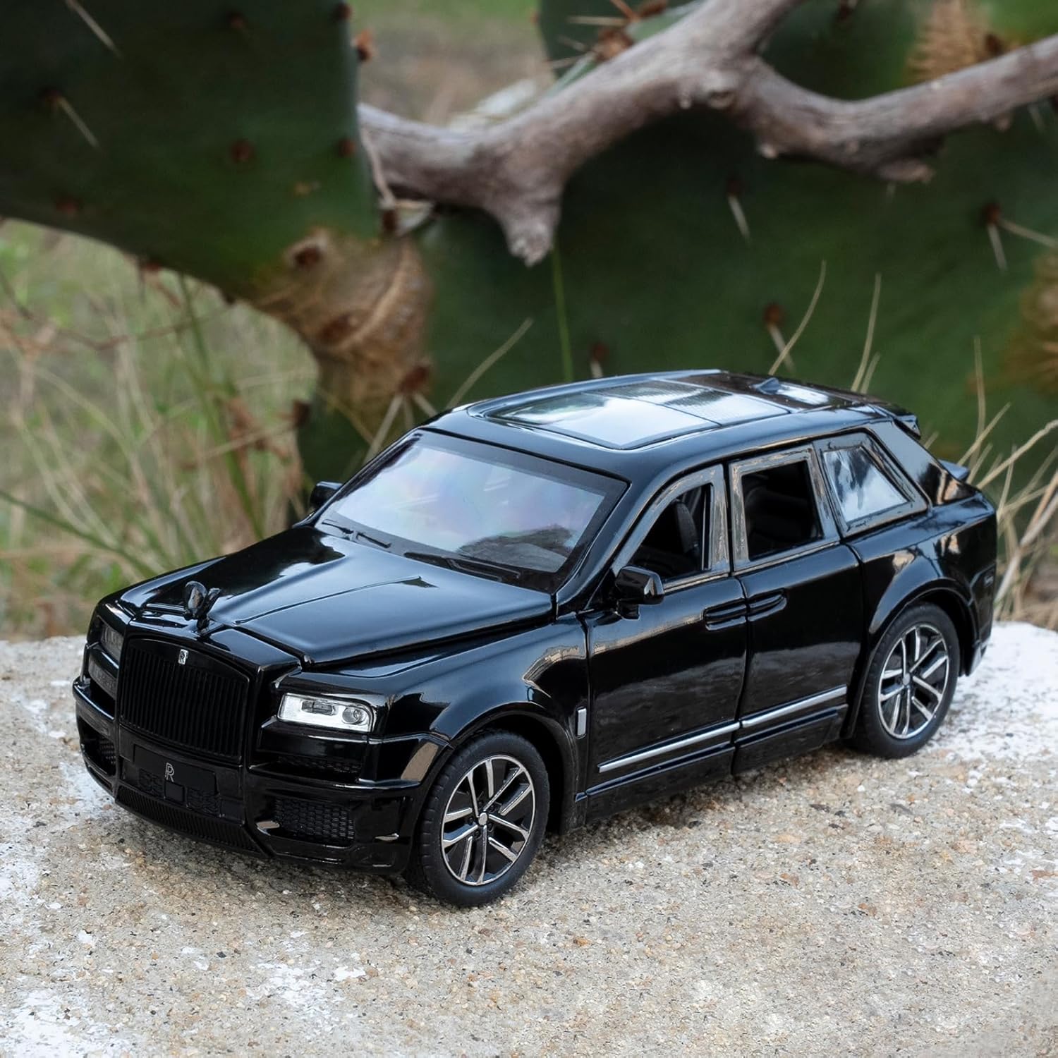 WhatsApp Image 2025-09-13 at 12.59.05 PM (10)