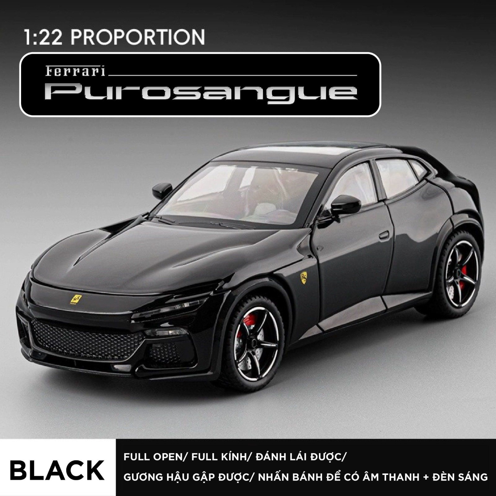 WhatsApp Image 2025-09-17 at 12.27.09 PM (3) - Copy